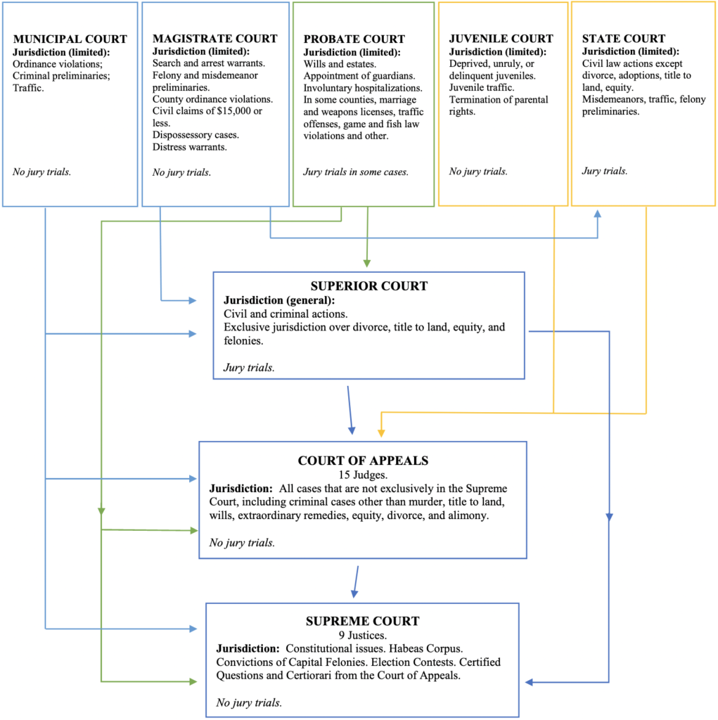 Georgia State Court System Cart